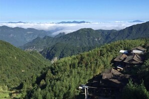 Miscellaneous - Yongtai Tengyun Farm (Yongtai)