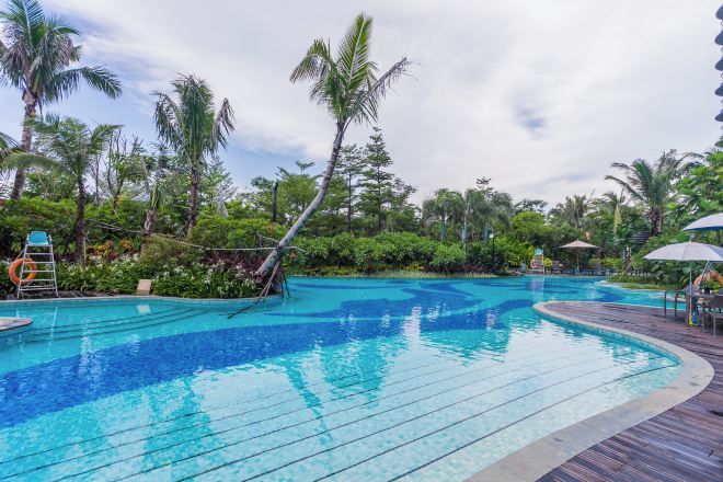A swimming pool with a wooden deck, surrounded by palm trees and greenery.
