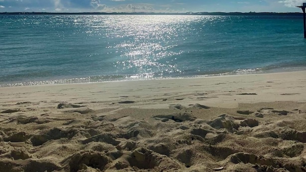 A beach with a clear sky, calm sea, and a sandy shore.