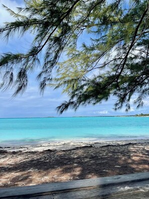 Nära stranden