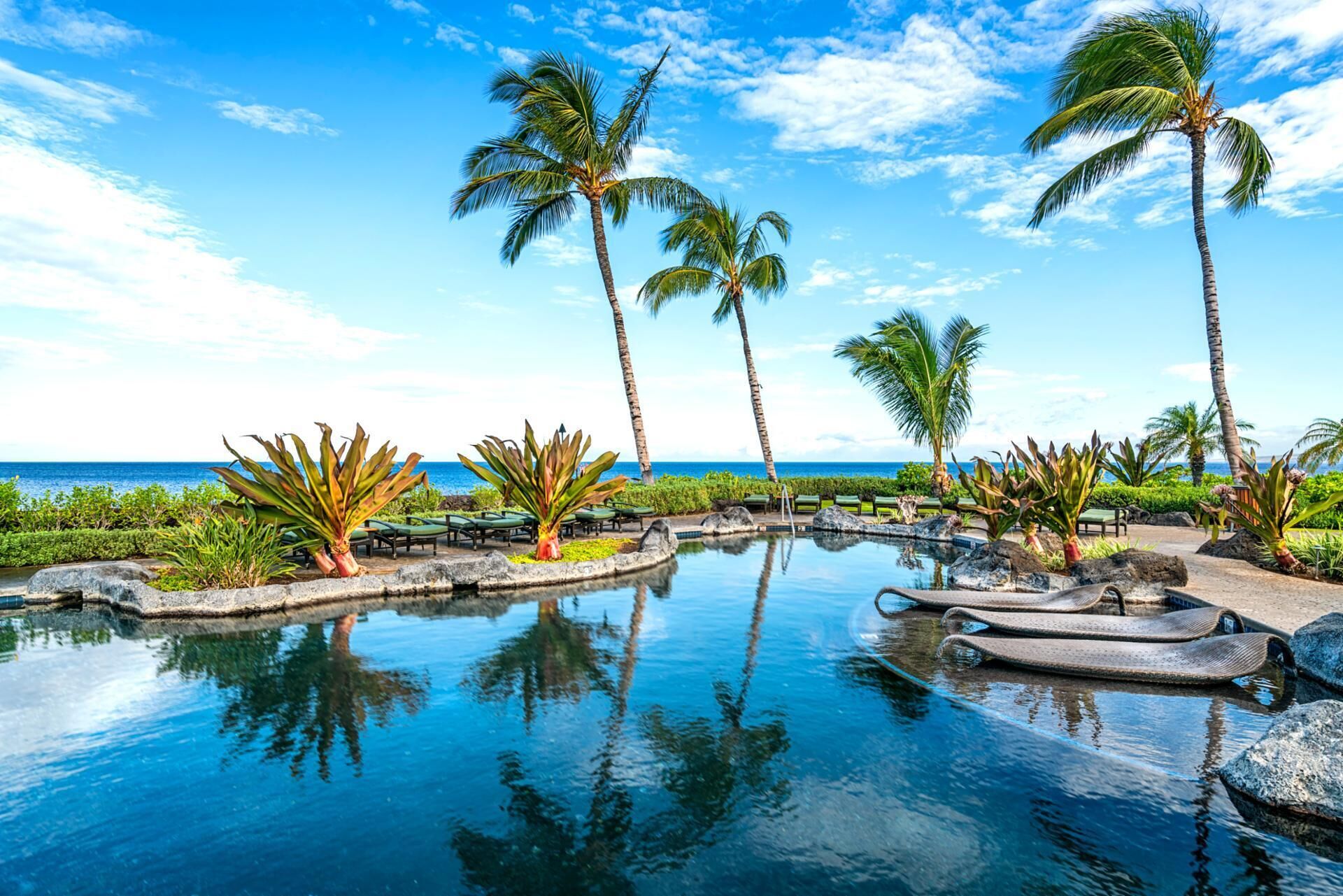 Una piscina con palme, poltrone prendisole e vista sull'oceano.