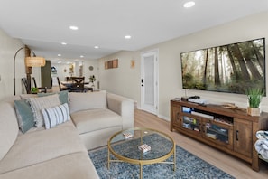Smart TV, fireplace, video games, books
