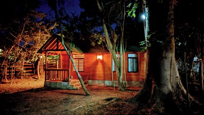 Free pet-friendly nice Cabin/Wifi/AC/Kitchen/Grill