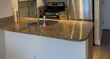 Million dollar view 2-bedroom apartment in Manhattan New York with fitness room