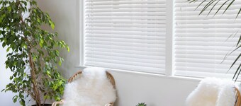 Wonderful bed & breakfast with WiFi in Oude Niedorp