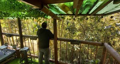 Cozy house in the countryside. 50 minutes from the city, Medellín, Colombia!