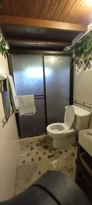 Towels, soap, shampoo, toilet paper - Cozy house in the countryside. 50 minutes from the city, Medellín, Colombia! (Santa Elena)