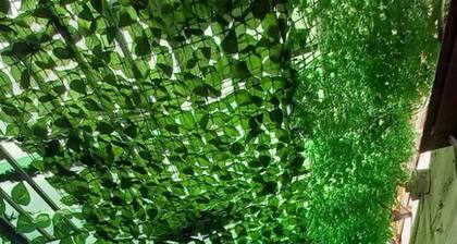 Cozy house in the countryside. 50 minutes from the city, Medellín, Colombia!