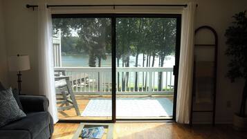 Smart TV, video games, books