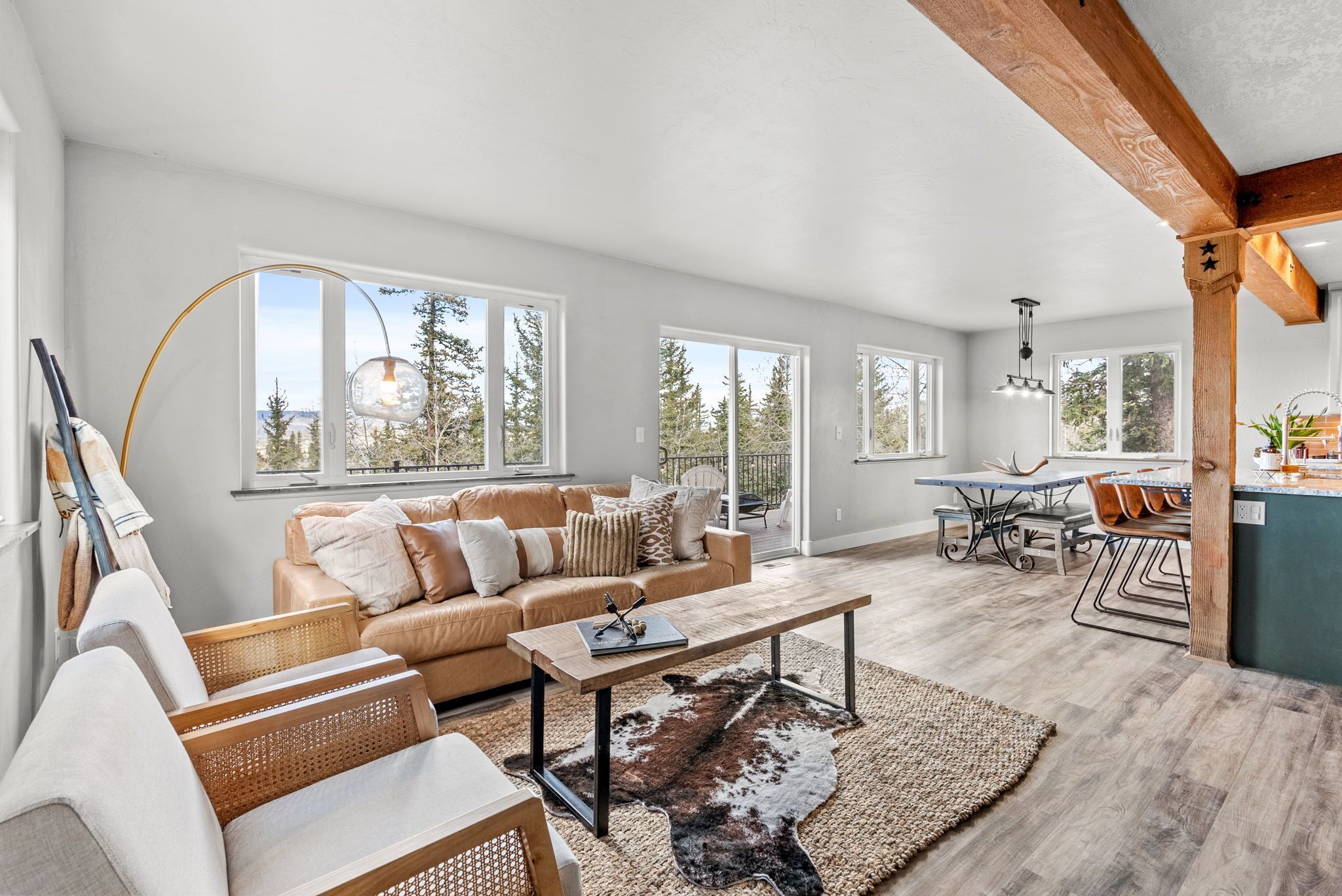 Smart-tv, pejs, bøger, stereoanlæg