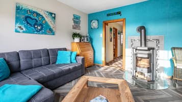 Tv, dvd-afspiller, bordtennisbord, stereoanlæg