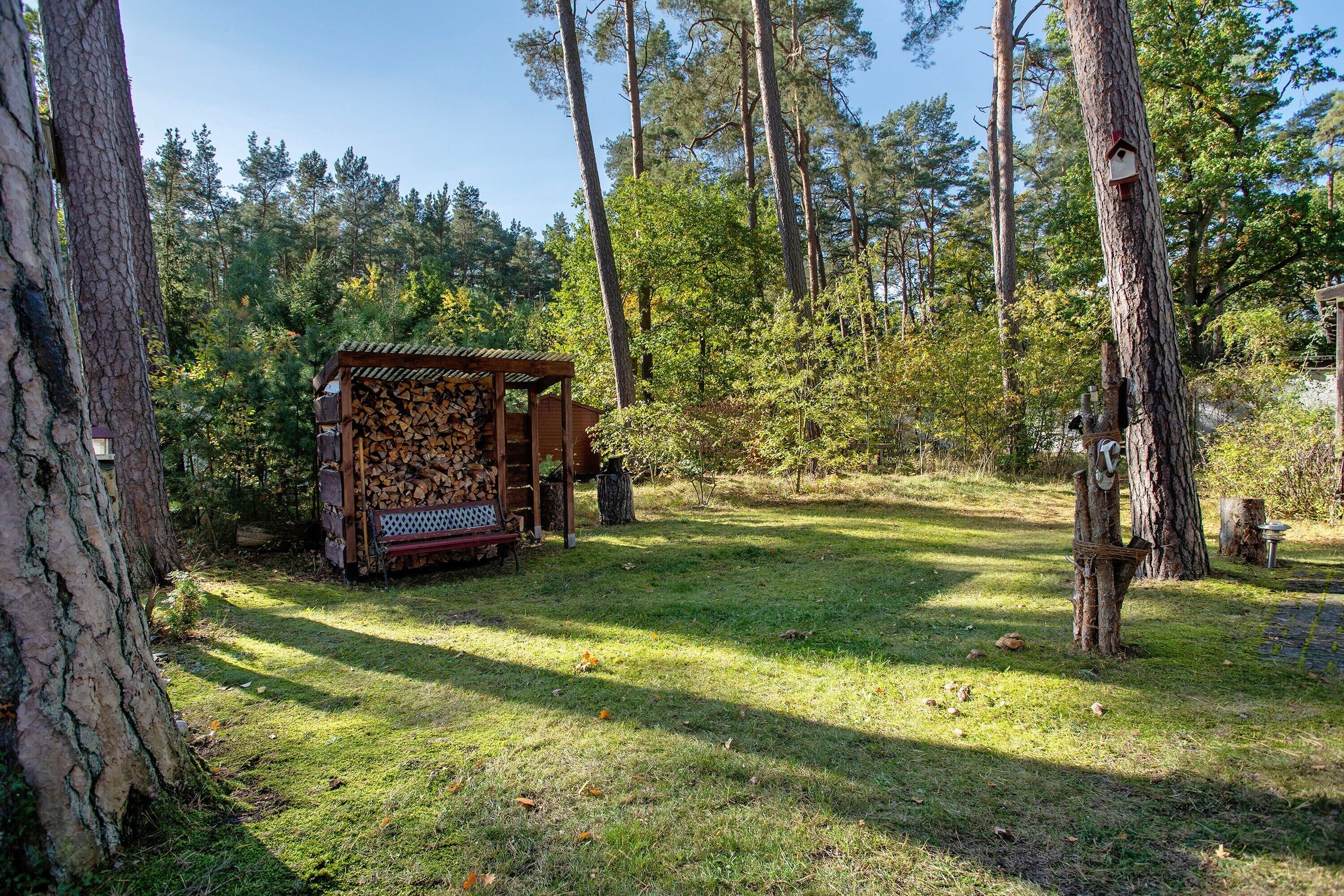A rustic cabin with a wooden exterior, surrounded by a forested area with tall trees and a clear sky.