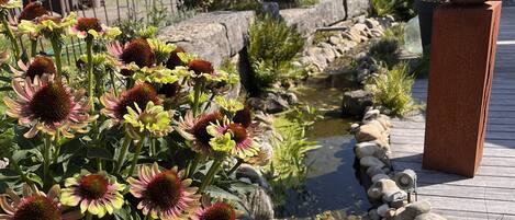 Jardines del alojamiento