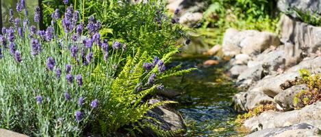 Jardines del alojamiento
