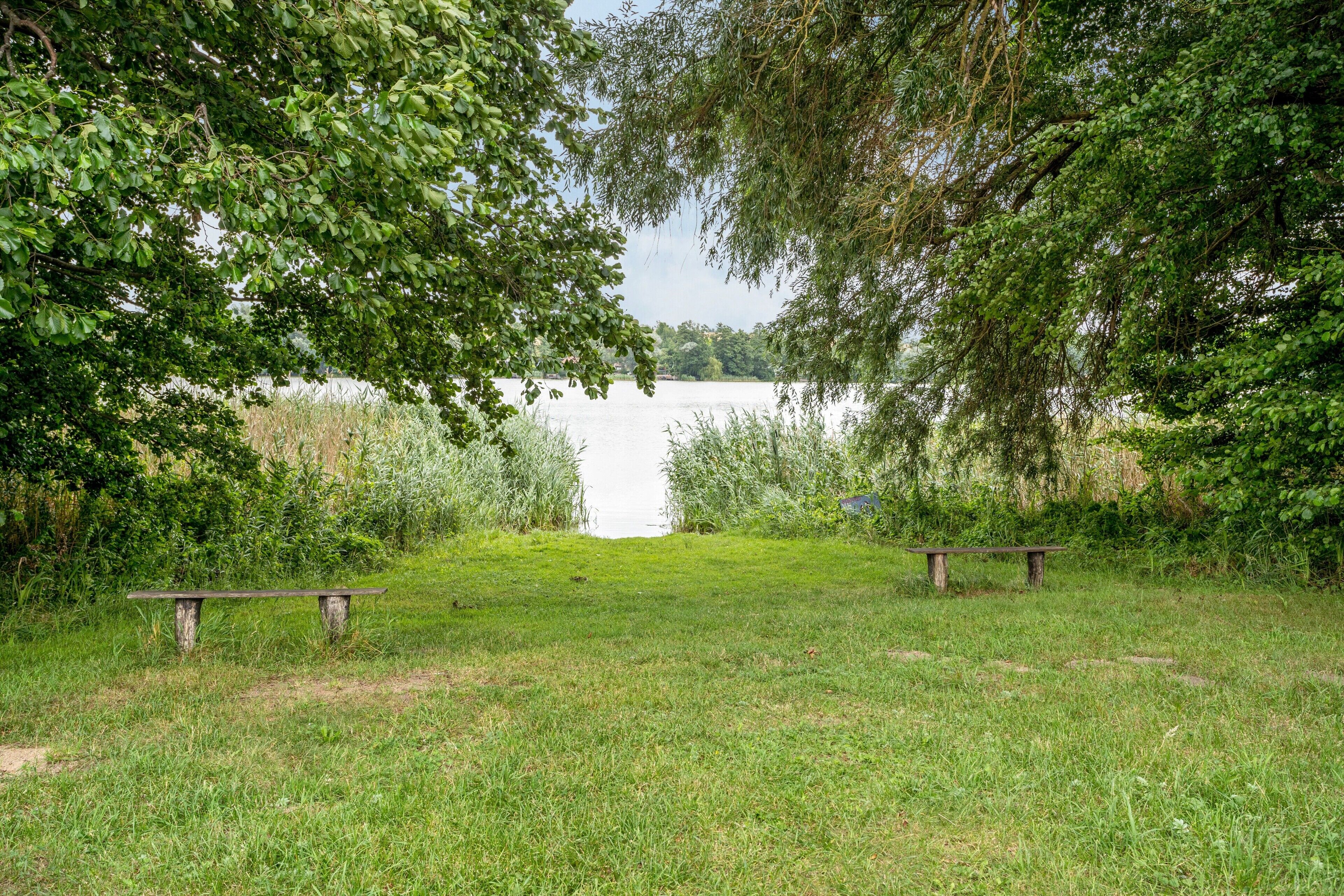 Un espace herbeux avec deux bancs et une vue sur une étendue d’eau.