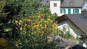 Un pueblo con una iglesia, edificios residenciales y un jardín con flores amarillas.