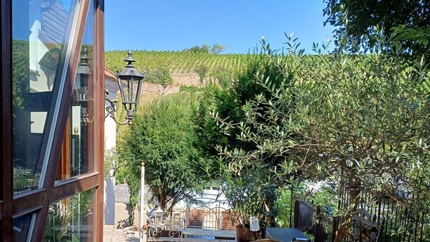 A patio with outdoor furniture, a pergola, and a view of a vineyard. - Apartment 'Weinbergsblick' with Private Terrace, Private Garden and Balcony (Geisenheim)