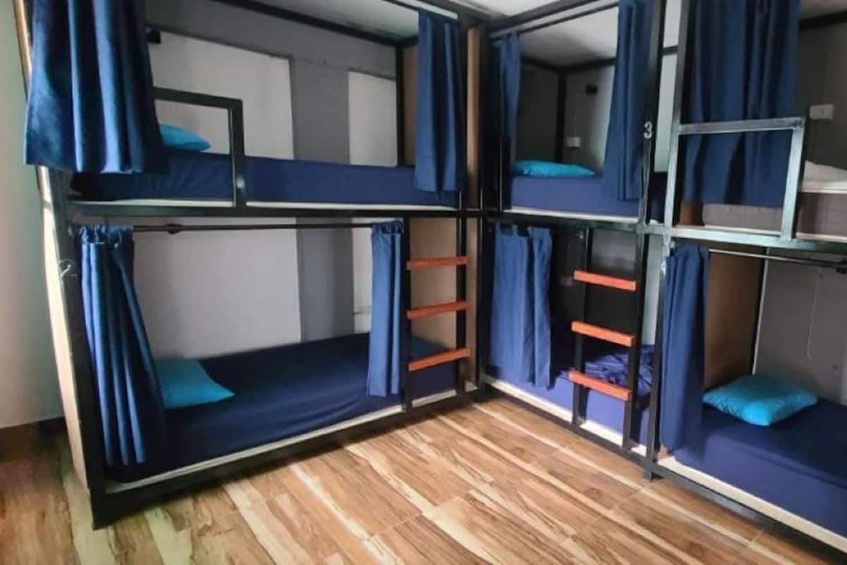 A bunk bed room with curtains, a ladder, and a wooden floor.