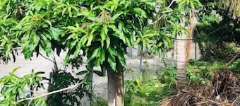 Tropical Paradise Retreat in Soufriere