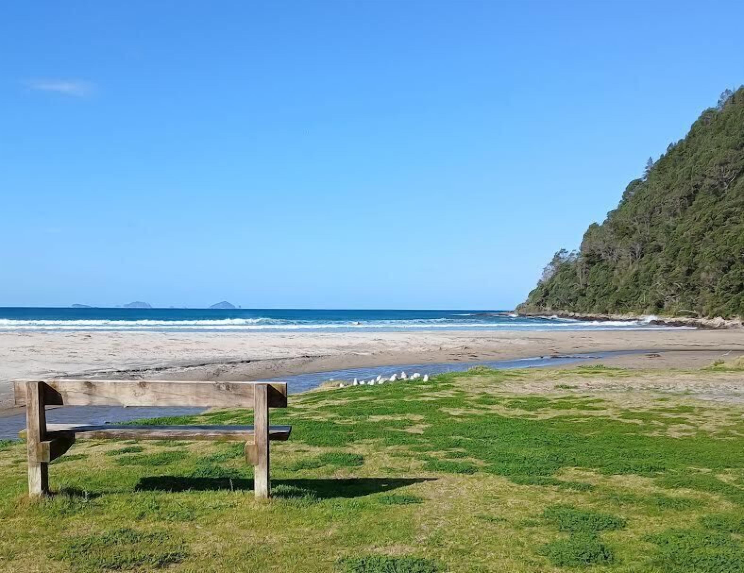 Une plage avec un banc en bois, une zone herbeuse et une vue sur l’océan.