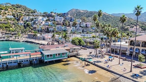 On the beach, beach towels - New Oceanfront Villa in Hamilton Cove. Golf Cart, Terrace + Easy Access (Avalon)