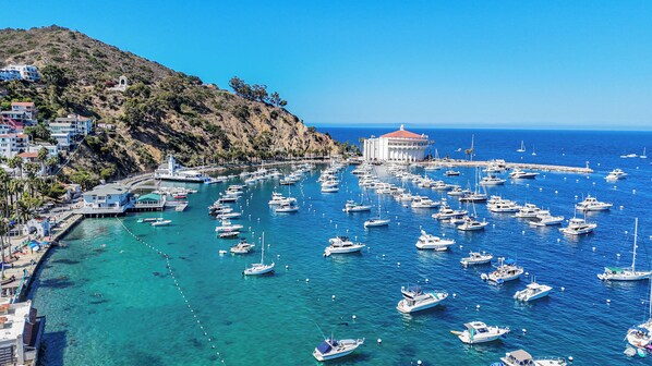 Marina - New Oceanfront Villa in Hamilton Cove. Golf Cart, Terrace + Easy Access (Avalon)