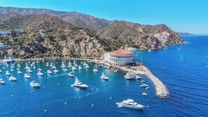 Marina - New Oceanfront Villa in Hamilton Cove. Golf Cart, Terrace + Easy Access (Avalon)