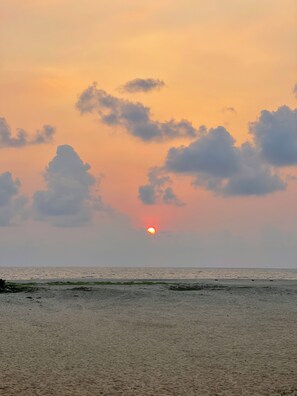 Plage, navette gratuite vers la plage, 6 bars de plage