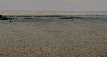 Eden Homestay Alleppey