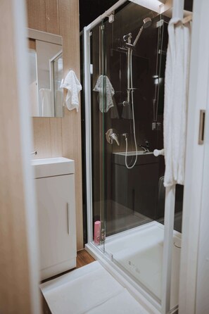 Shower, hair dryer, towels