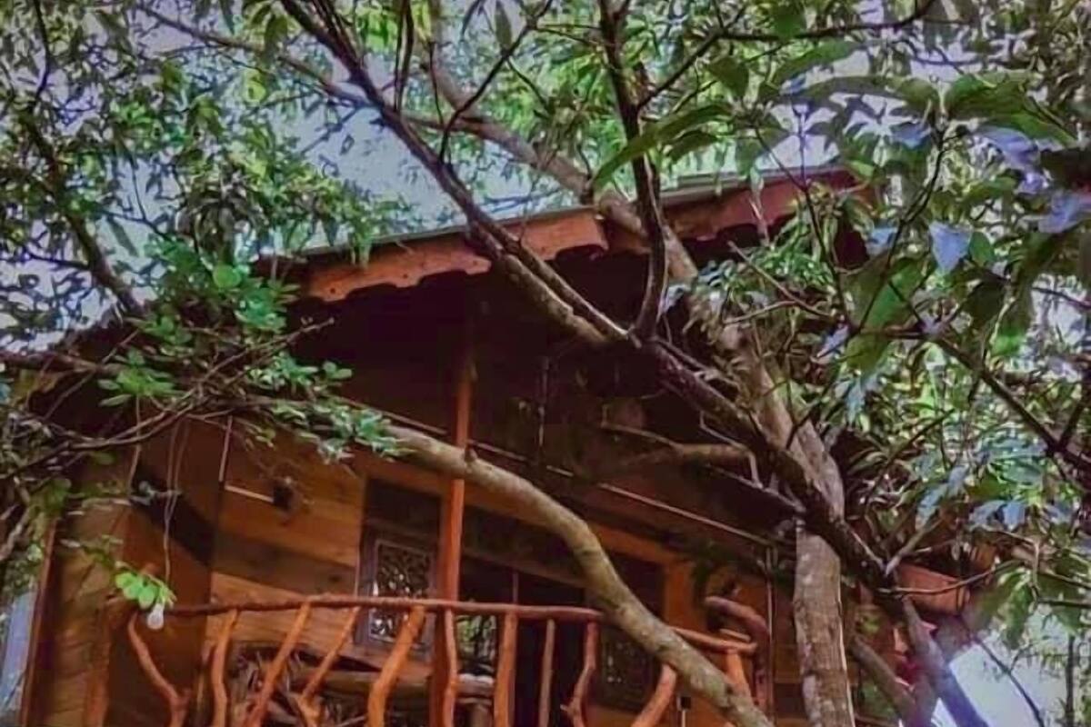 Una casa en árbol de madera con balcón, rodeada de follaje denso.