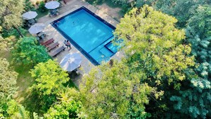 A rectangular swimming pool surrounded by lush greenery, with outdoor seating and umbrellas. - Dudley Nature Resort  (Habarana)