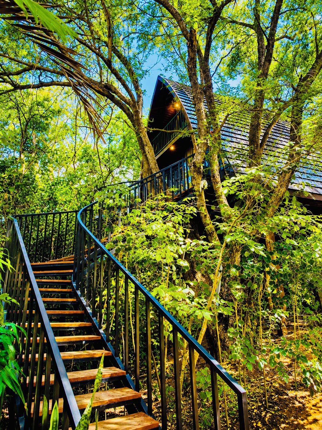 A wooden staircase with metal railings surrounded by lush greenery and trees.