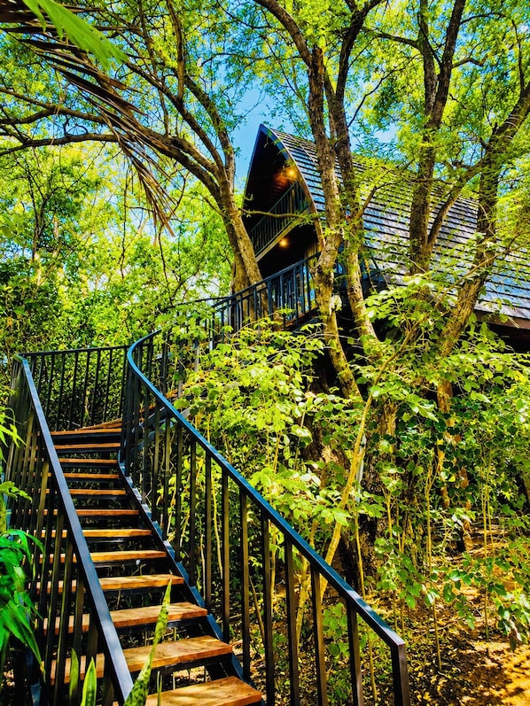 A wooden staircase with metal railings surrounded by lush greenery and trees. - Dudley Nature Resort (Habarana)