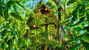 A treehouse structure surrounded by dense foliage.