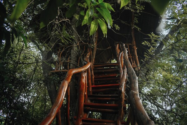 Front of property - Dudley Nature Resort  (Habarana)