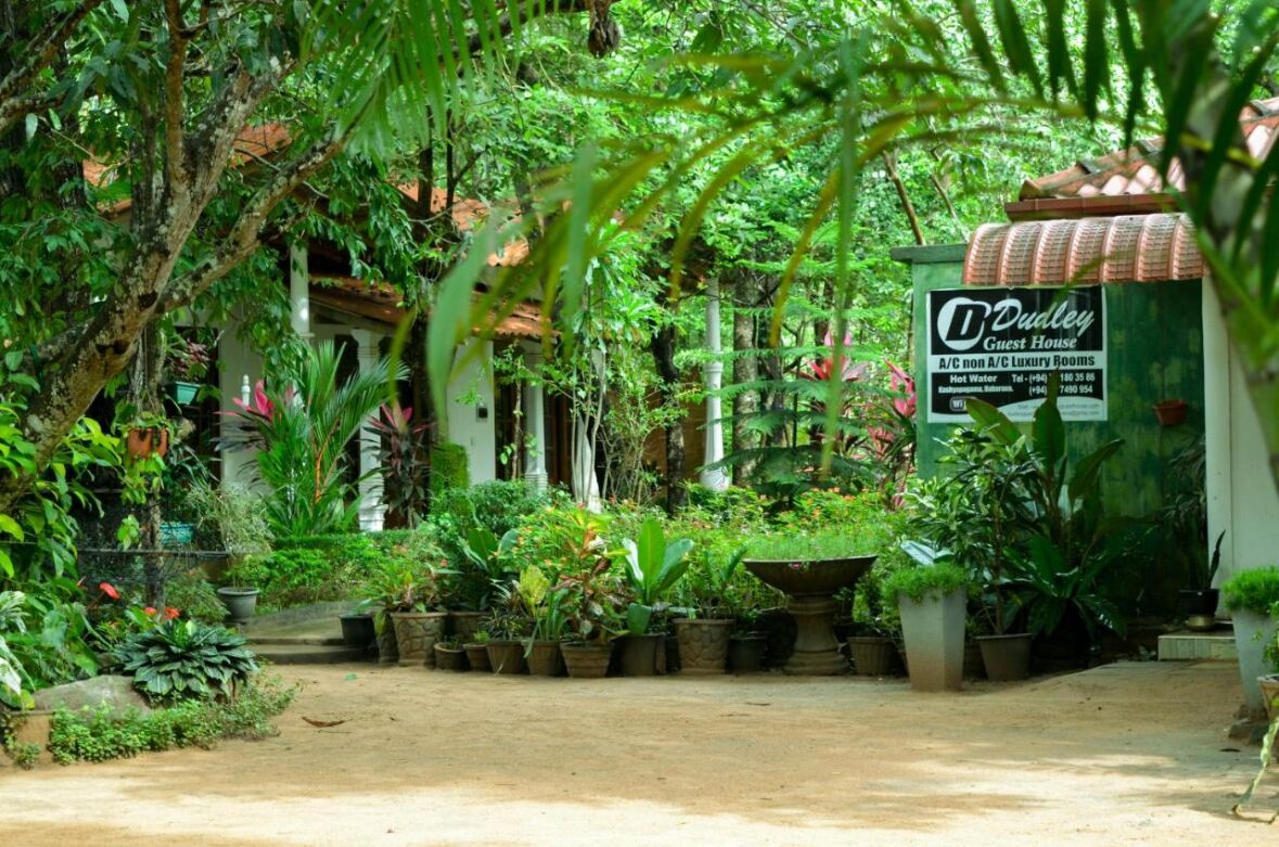 A lush garden with a variety of plants and a sign for Dudley Guest House.