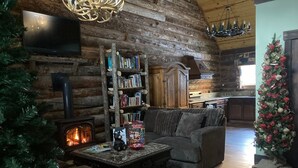 A cozy living room with a fireplace, a bookshelf, a sofa, and a Christmas tree. - Bear Creek Hideaway Log Cabin on River Fishing & WiFi on Kebler Pass (Somerset)