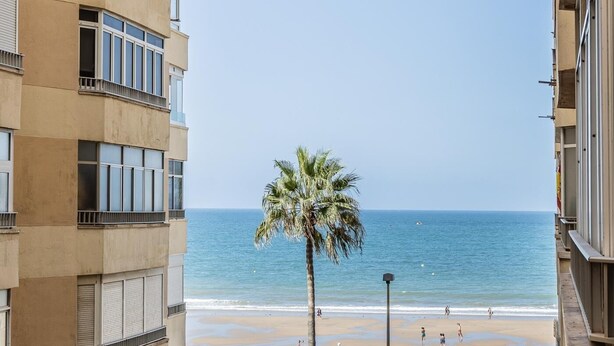 A beachfront view with a palm tree and a clear sky. - 2 bed Apt, 2 Bath 4px seaside (Cádiz)
