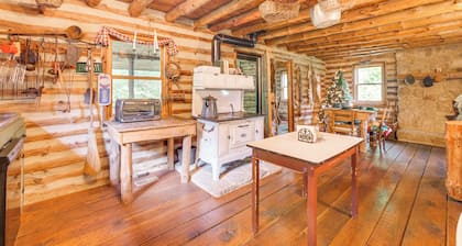 Handcrafted Log Cabin on 3 Acres: 14 Mi to Canton