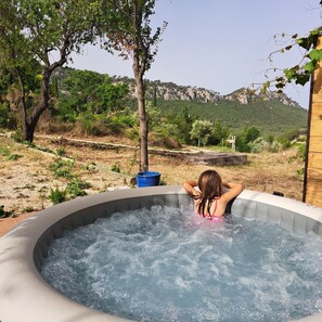 Property grounds - House with jacuzzi, splendid view over valley and vineyards, 15 mins from the sea. (Le Beausset)