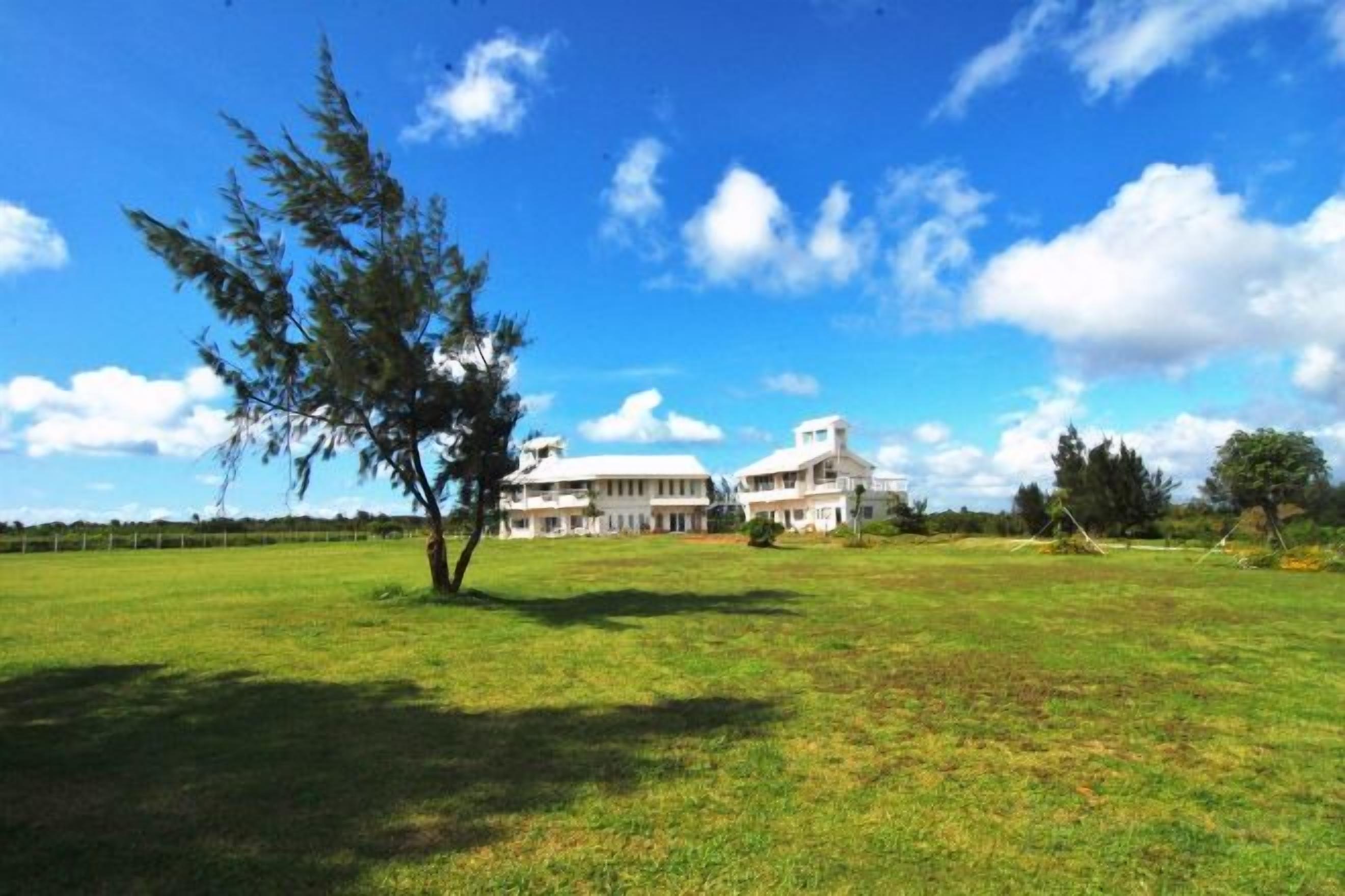 A large building with a spacious lawn and a prominent tree in the foreground.