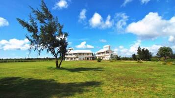 A large building with a spacious lawn and a prominent tree in the foreground.