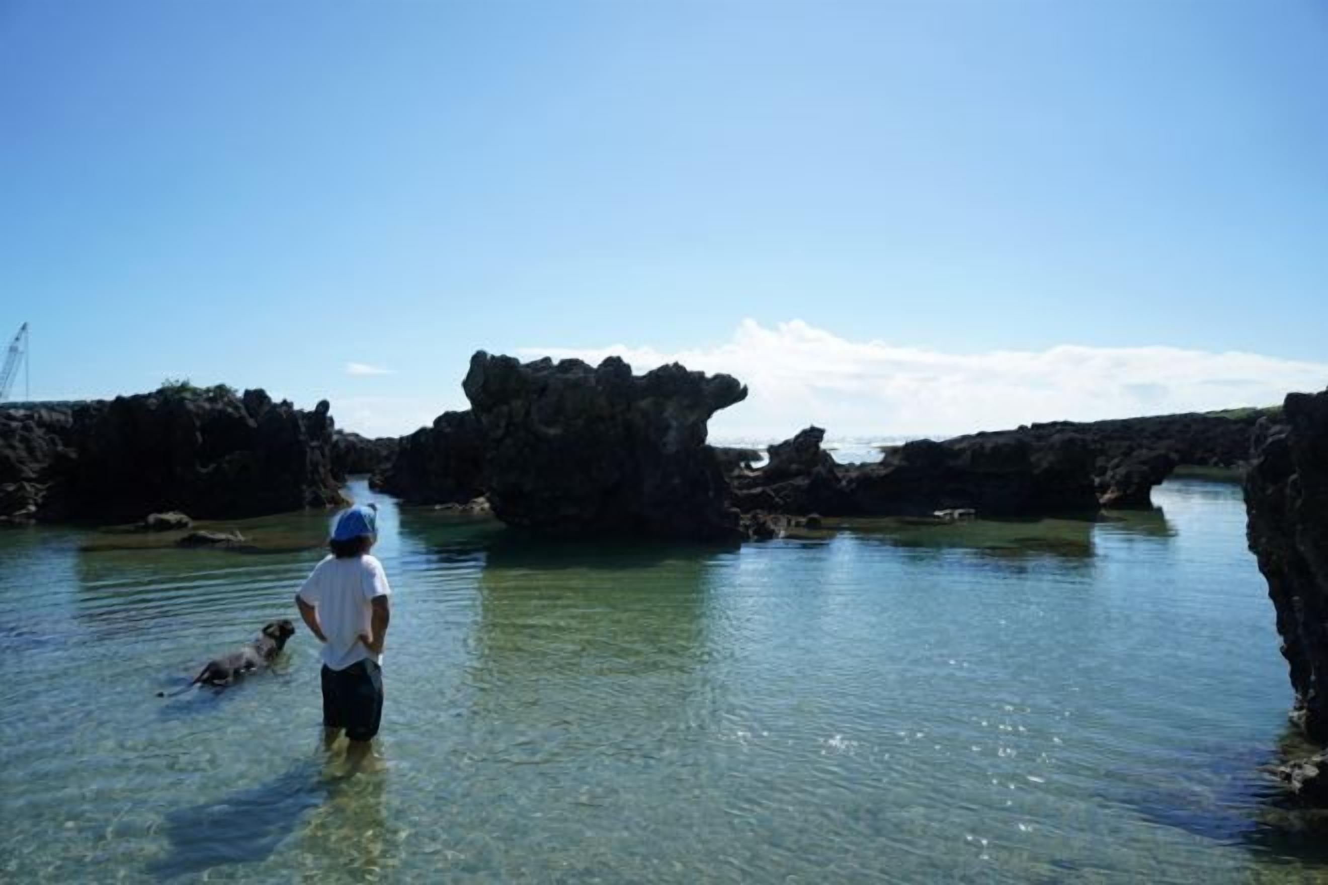 A person standing in shallow water with a dog, surrounded by rocky formations and clear skies.
