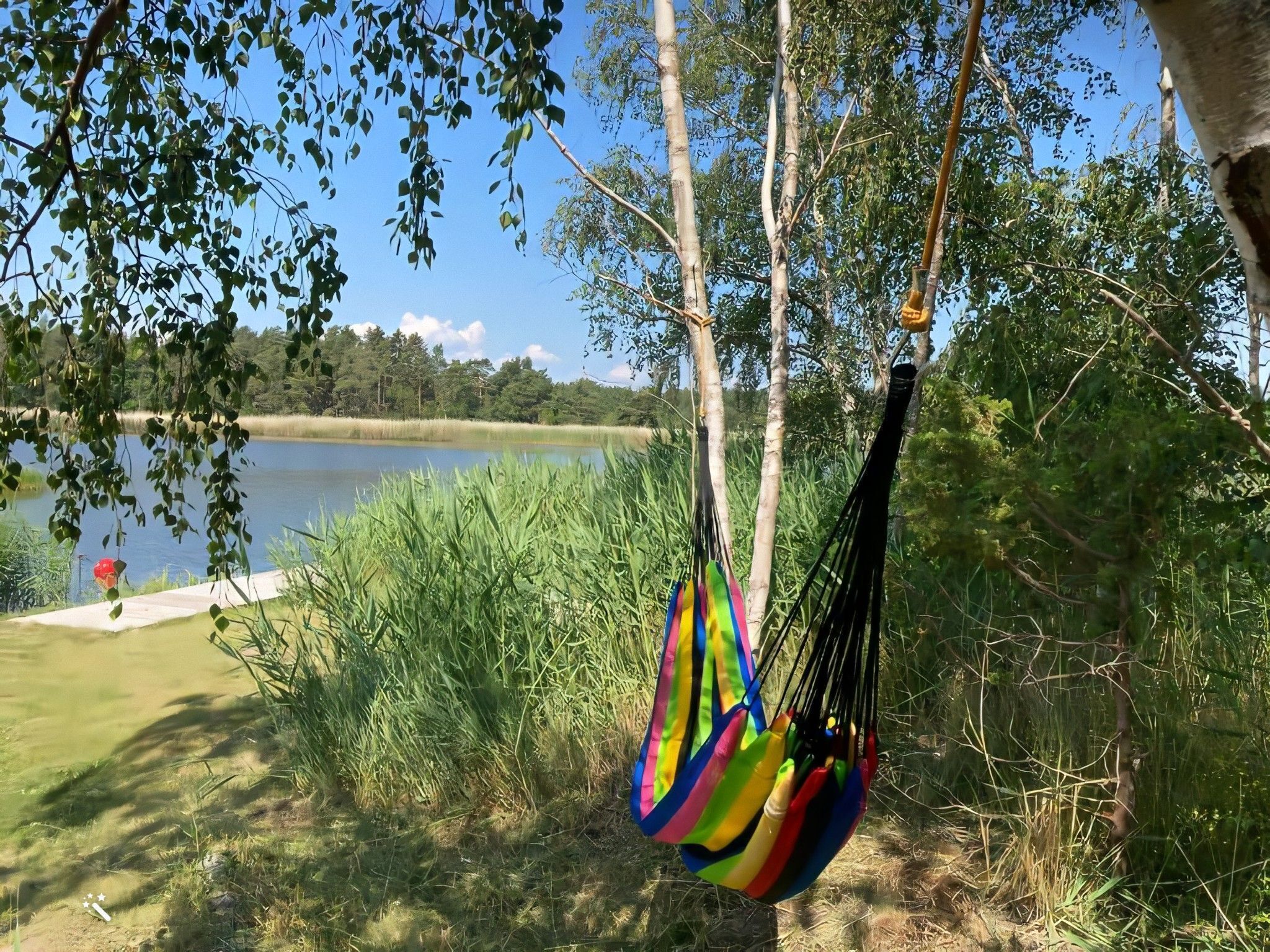 A hammock hanging between trees by a lake.