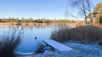 A serene lakeside scene with a wooden dock extending into the water, surrounded by tall grasses and trees.