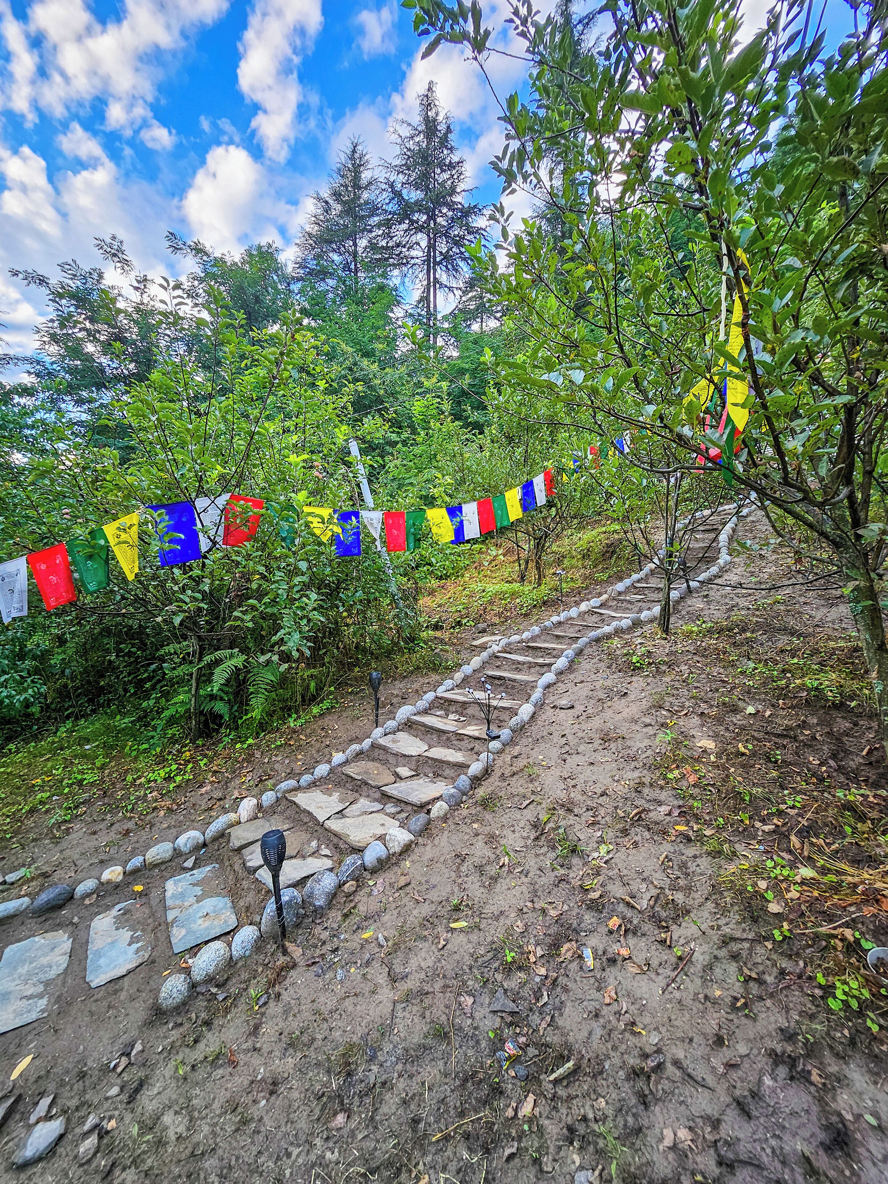 A stone pathway bordered by colorful prayer flags, surrounded by lush greenery and trees.