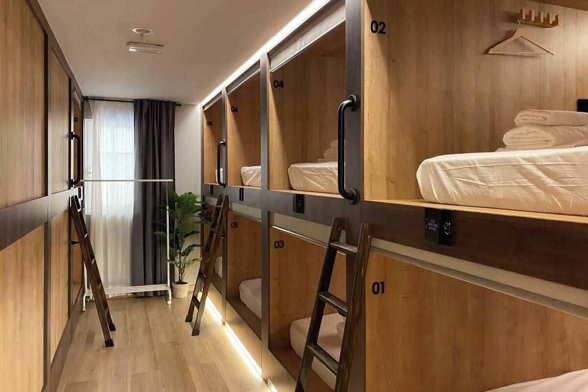 A hotel room with bunk beds, numbered compartments, and a small plant.