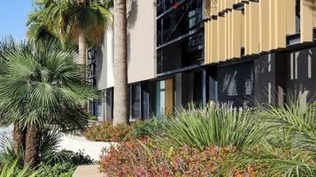 Un bâtiment moderne doté d’un chemin en béton, de palmiers et d’une variété de plantes.