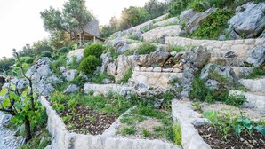 A stone retaining wall with a garden in front, a wooden structure on a hillside, and trees in the background.